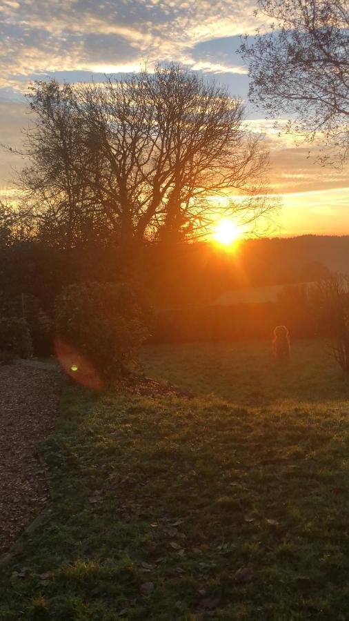 Meadowside Cottage, Characterful Grade 2 Listed Cottage Near To Wadebridge And Padstow 외부 사진