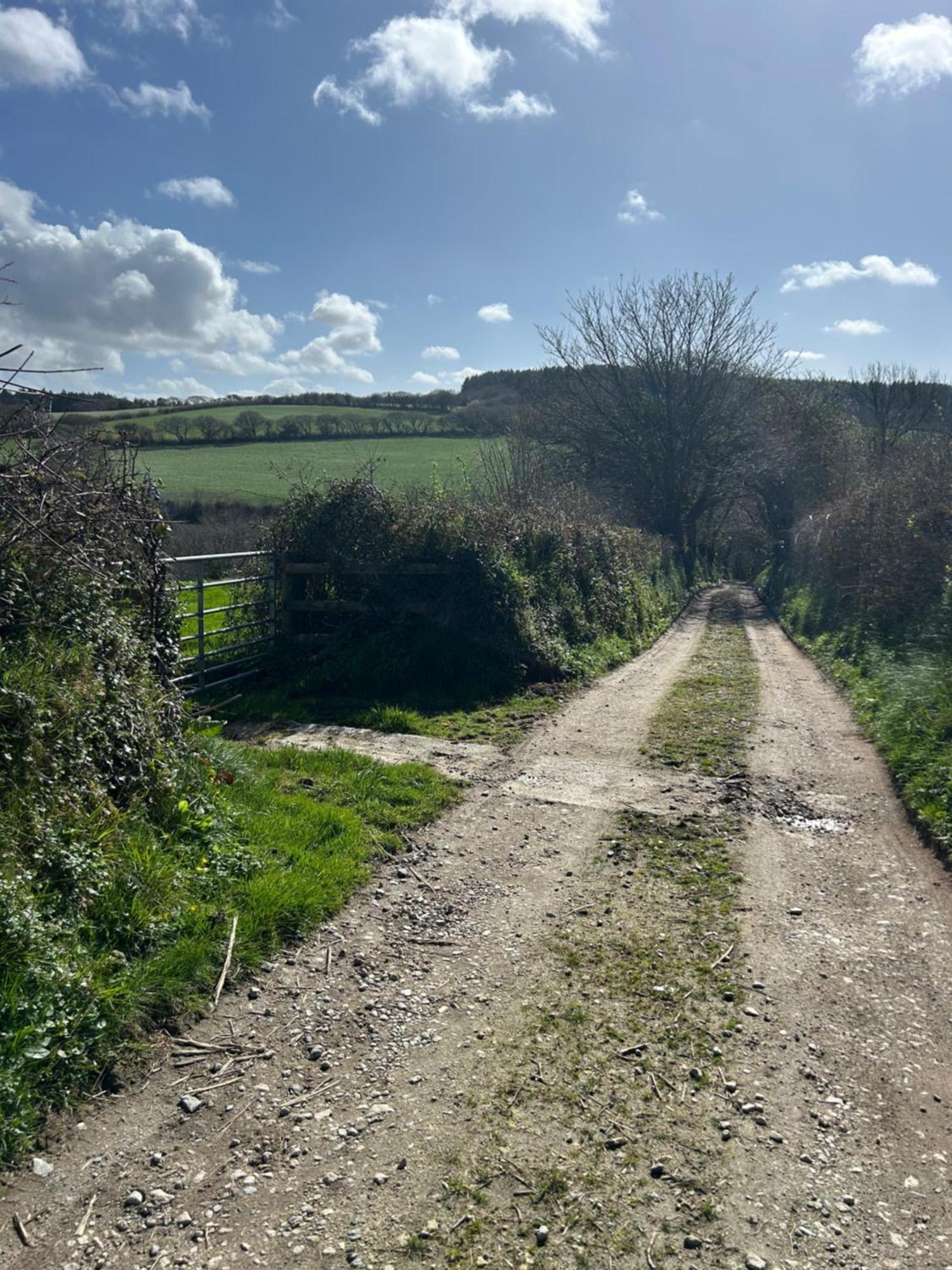 Meadowside Cottage, Characterful Grade 2 Listed Cottage Near To Wadebridge And Padstow 외부 사진